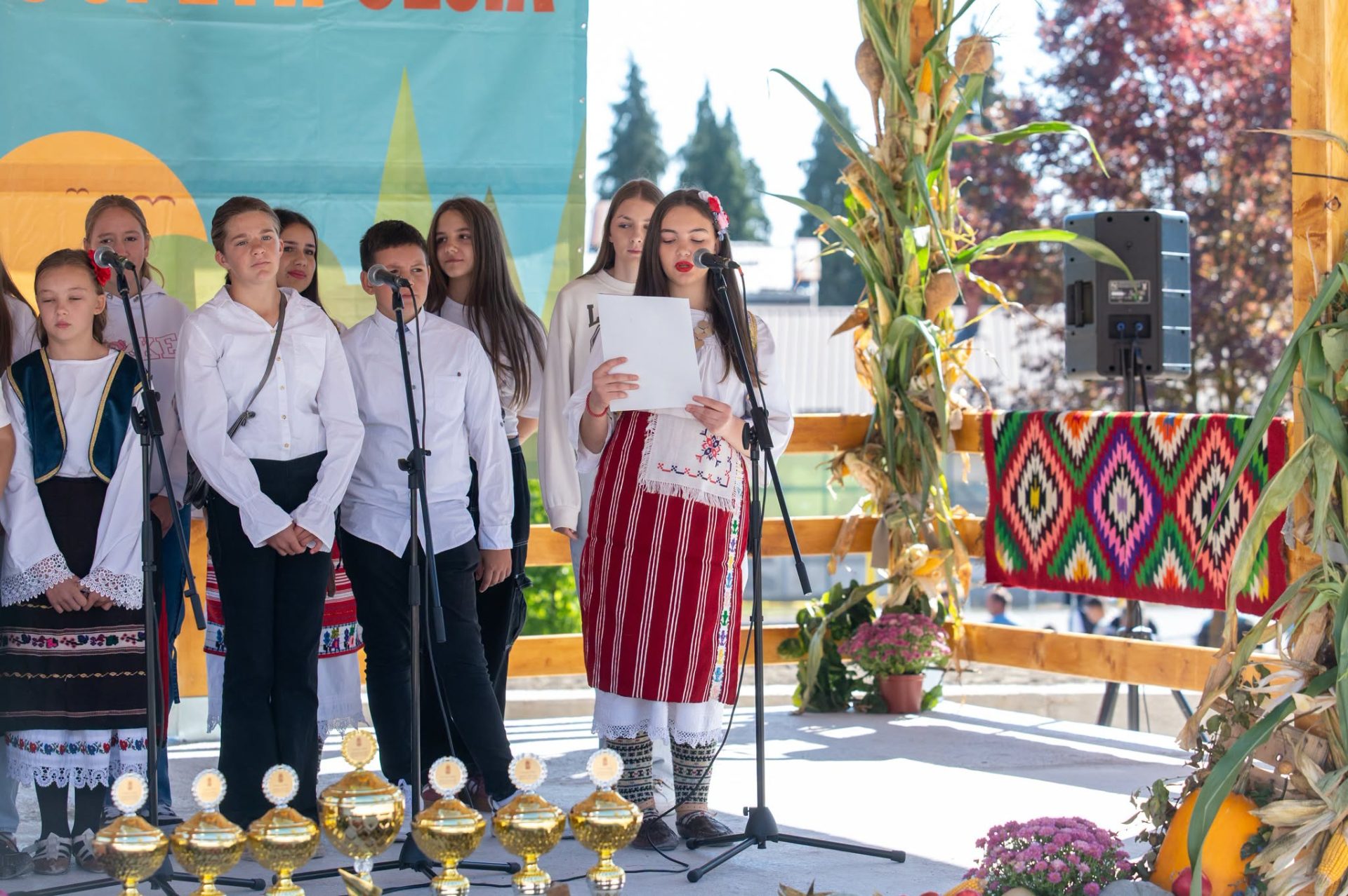 20261004-200503-odzivi-paunu-2026-foto-2-zK70qm.jpg