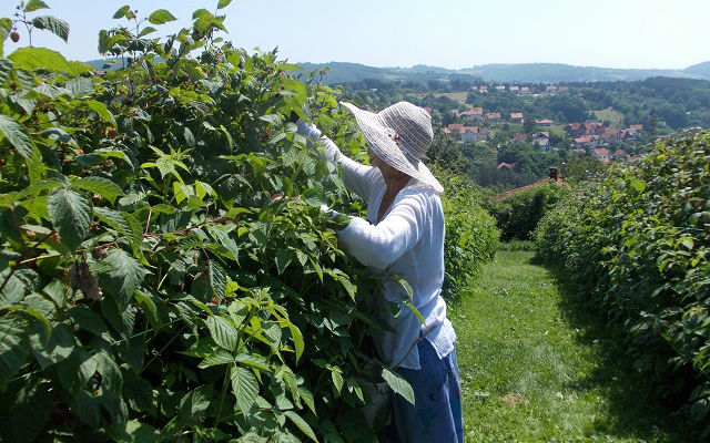 Zahtevi za subvencije od 5. aprila 