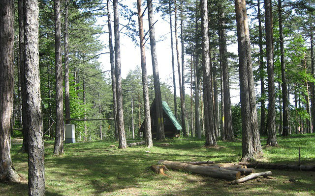 Jubilej NP Tara