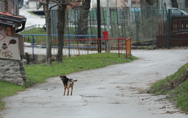 Dozvole za poljoprivrednike