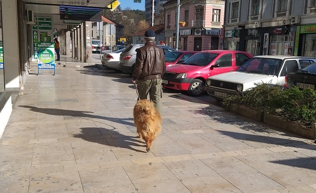Šetnja kućnih ljubimaca subotom i nedeljom