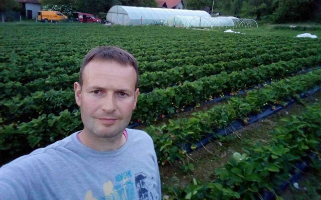 Cvijović: Nadamo se izvozu