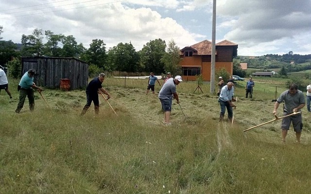 Prva "Šljivovička kosijada"