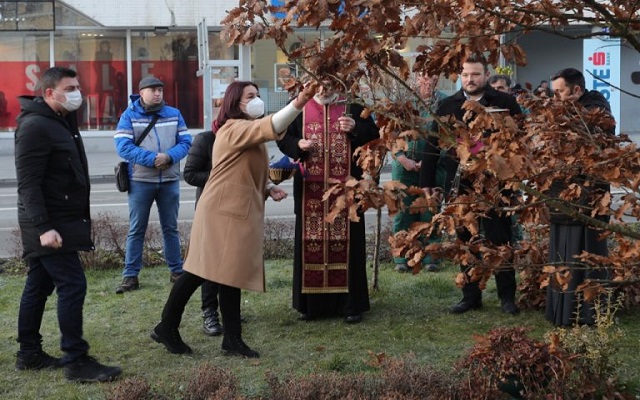 Tradicionalna seča Badnjaka u Gorjanima
