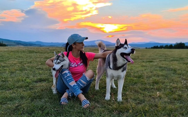 Zlatibor „pet friendly“ destinacija