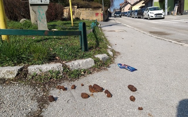Nisu krivi psi, već ljudi