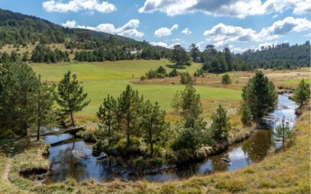 Građani proveli praznike u Srbiji – i dalje omiljeni Zlatibor, Vrnjačka Banja i Sokobanja