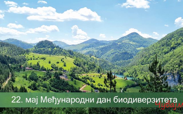 Danas je Međunarodni dan biodiverziteta