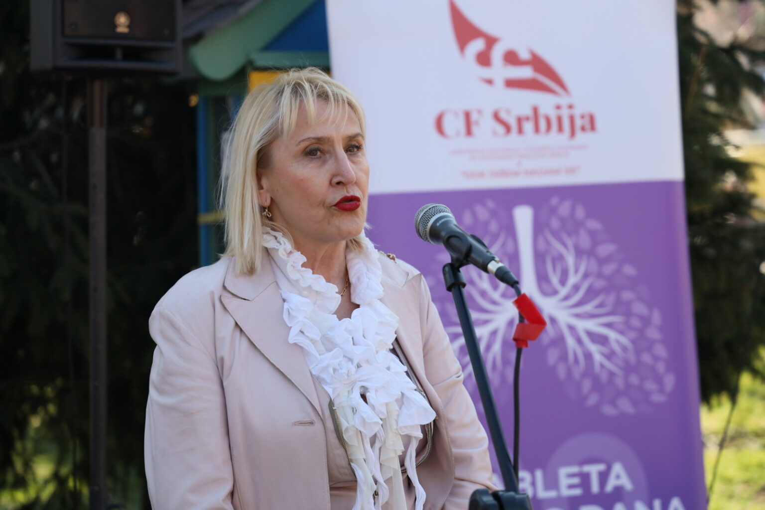 Foto: Grad Užice