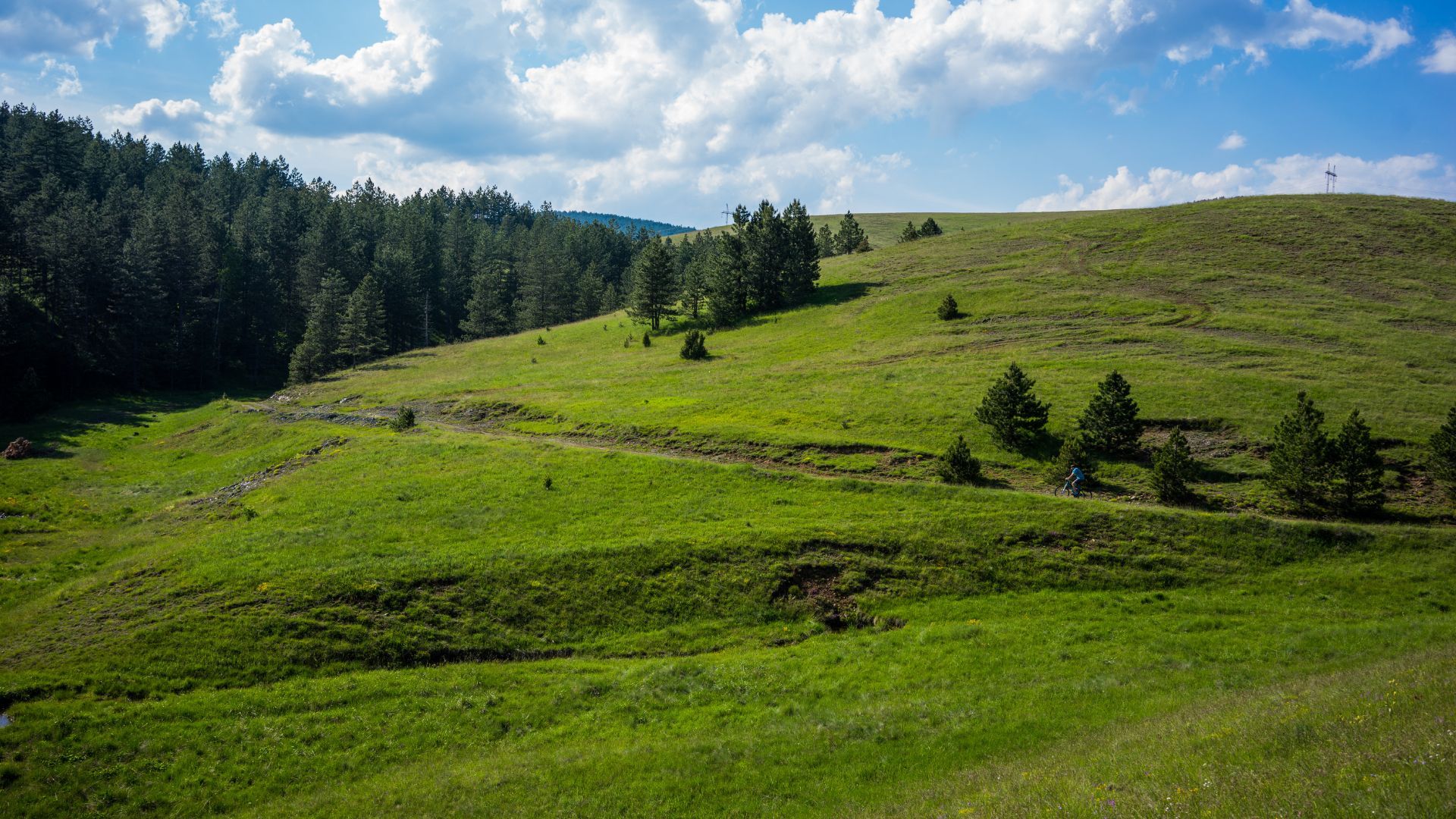 Foto: Turistička organizacija „Zlatibor“