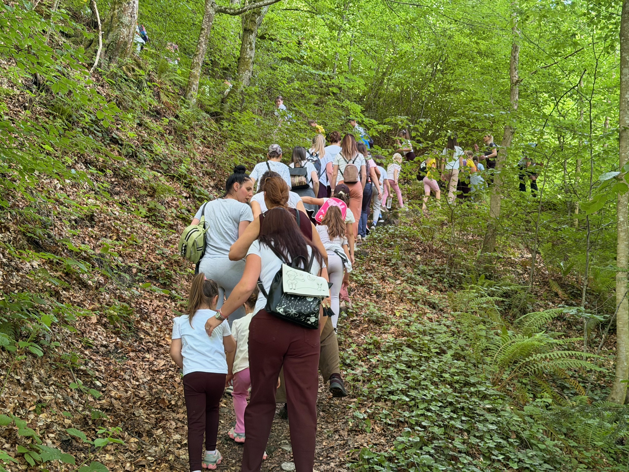 Foto: Opština Bajina Bašta