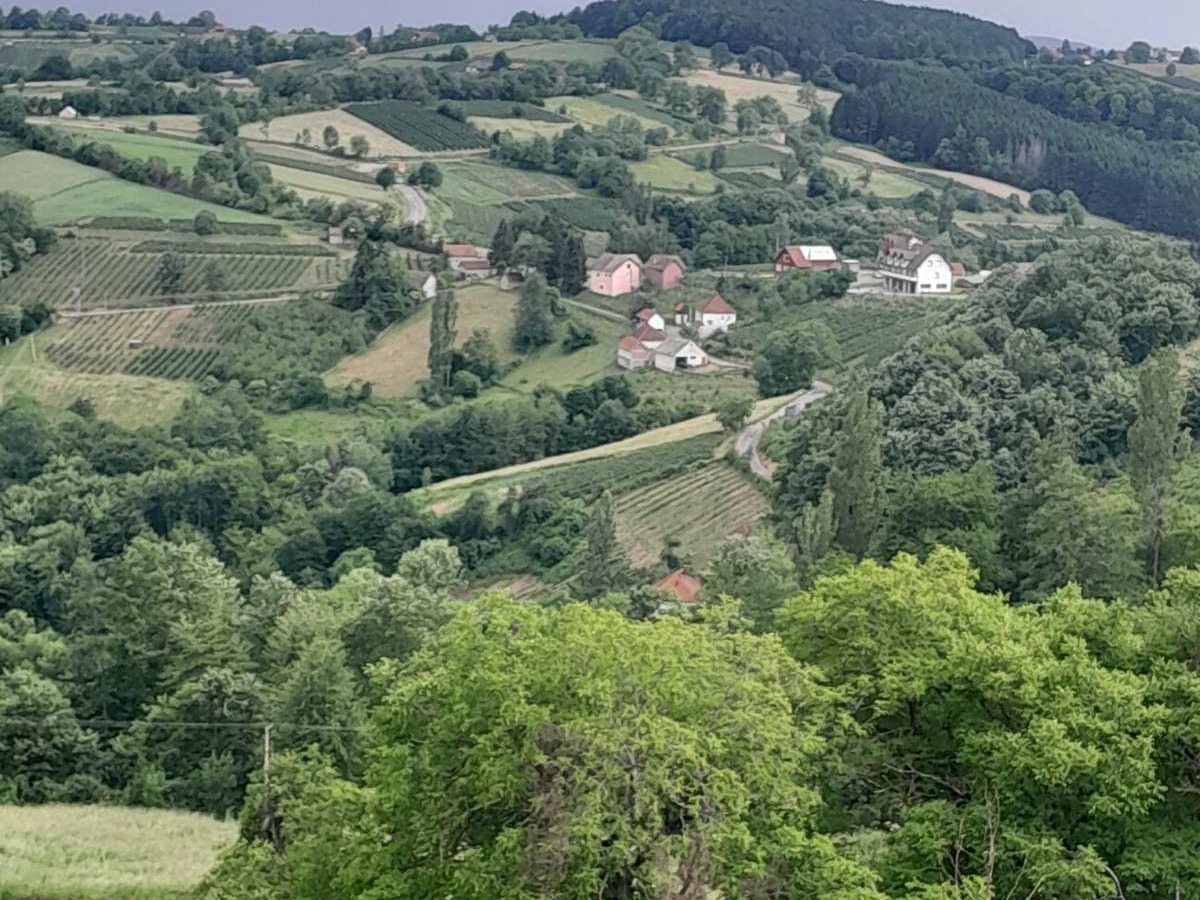Foto: Ljubica Đukić Pavlović Foto: Ljubica Đukić Pavlović